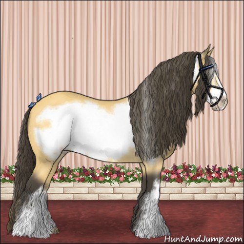 Horse Color:Buckskin Frame 