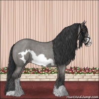 Horse Color:Grullo Roan Frame 