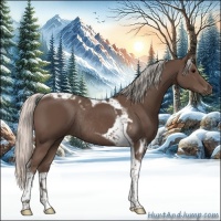 Horse Color:Silver Black Tobiano Rabicano 