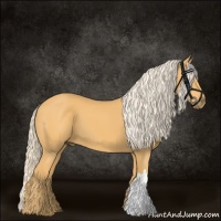Horse Color:Palomino 
