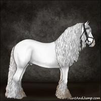 Horse Color:Gray Cremello Dun Appaloosa 