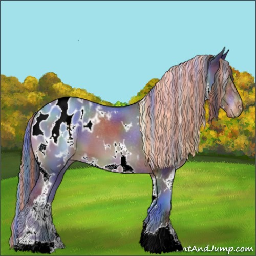 Horse Color:Painted Nacre White Spotted Bay Blanket