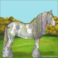 Horse Color:Nacre Watercolor White Spotted Chestnut Sabino 