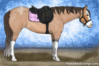 Horse Color:Bay Roan Splash Appaloosa