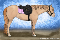 Horse Color:Gold Champagne