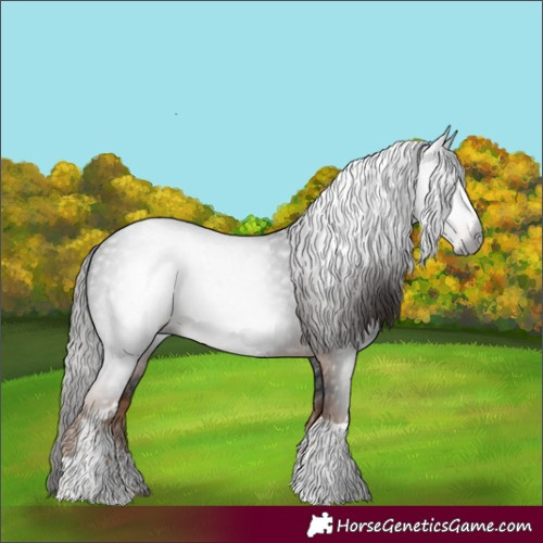 Horse Color:Gray White Spotted Liver Chestnut Tobiano 
