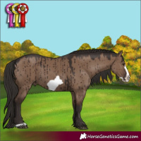 Horse Color:Liver Red Dun Frame Brindle