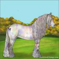 Horse Color:Nacre White Spotted Chocolate Silver Brown Chinchilla Onyx 