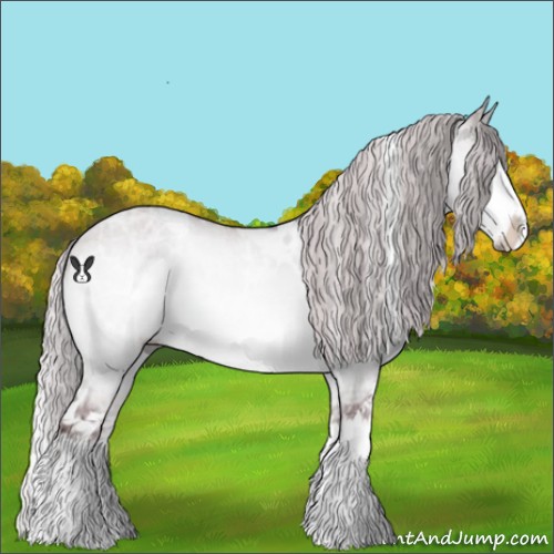 Horse Color:White Spotted Chocolate Silver Bay Chinchilla Ice Dun Sabino Splash Rabicano 