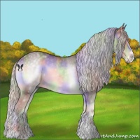 Horse Color:Nacre Chocolate Silver Blue Onyx Chinchilla Sabino 