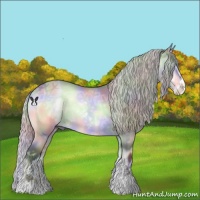 Horse Color:Nacre Silver Brown Chinchilla Ice Onyx Sabino 