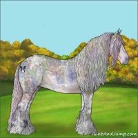 Horse Color:Nacre Silver Black Chinchilla Ice Sabino 