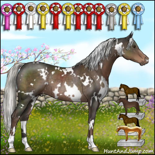 Horse Color:White Spotted Liver Chestnut Mushroom Rabicano
