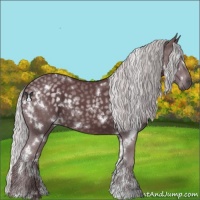 Horse Color:White Spotted Chocolate Silver Black Chinchilla 