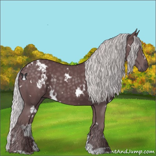 Horse Color:White Spotted Chocolate Silver Black Chinchilla 