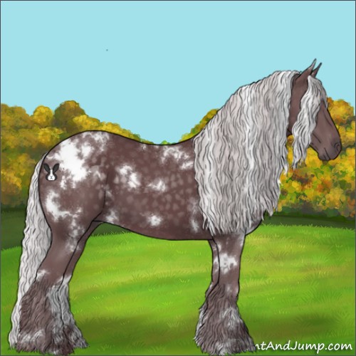 Horse Color:White Spotted Chocolate Silver Black Chinchilla 