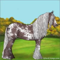 Horse Color:White Spotted Chocolate Silver Black Chinchilla 