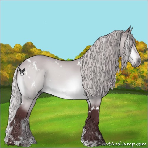 Horse Color:White Spotted Chocolate Silver Bay Chinchilla 