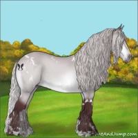 Horse Color:White Spotted Chocolate Silver Bay Chinchilla 