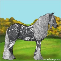 Horse Color:White Spotted Silver Black Chinchilla