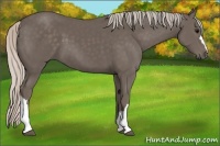 Horse Color:Silver Black 
