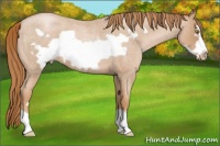 Horse Color:Red Roan Pearl Frame