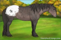 Horse Color:Platinum Liver Chestnut Snowcap 