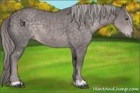 Horse Color:Platinum Chocolate Palomino Rabicano 
