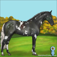 Horse Color:White Spotted Liver Chestnut Mushroom 