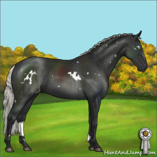 Horse Color:White Spotted Liver Chestnut Mushroom 