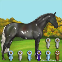 Horse Color:White Spotted Liver Chestnut Mushroom 