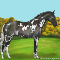 Horse Color:White Spotted Liver Chestnut Mushroom 