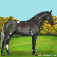 Horse Color:White Spotted Liver Chestnut Mushroom 