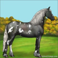 Horse Color:White Spotted Liver Chestnut Mushroom 