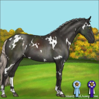 Horse Color:White Spotted Liver Chestnut Mushroom 