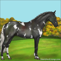 Horse Color:White Spotted Liver Chestnut Mushroom 