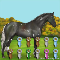 Horse Color:White Spotted Liver Chestnut Mushroom 