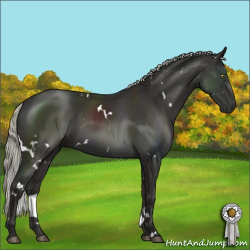 Horse Color:White Spotted Liver Chestnut Mushroom
