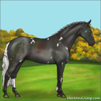 Horse Color:White Spotted Liver Chestnut Mushroom 