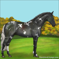 Horse Color:White Spotted Liver Chestnut Mushroom 