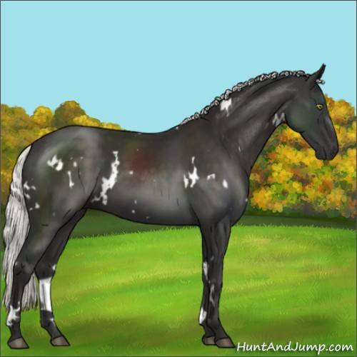 Horse Color:White Spotted Liver Chestnut Mushroom 