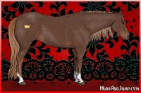 Horse Color:Liver Chestnut Tobiano 