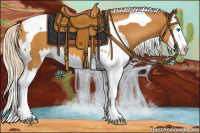 Horse Color:Chestnut Splash Tobiano  and Palomino Splash Tobiano 