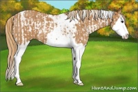 Horse Color:Chestnut Splash Tobiano  and Chestnut Splash Tobiano 