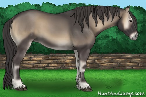 Horse Color:Smoky Blue Onyx Rabicano 