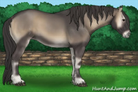 Horse Color:Smoky Blue Onyx Rabicano