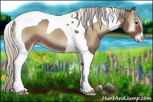 Horse Color:Silver Black Tobiano