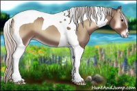 Horse Color:Silver Black Tobiano