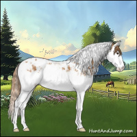 Horse Color:Chestnut Splash Tobiano  and Chestnut Splash Tobiano 