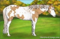 Horse Color:Palomino Splash Tobiano  and Palomino Splash Tobiano 